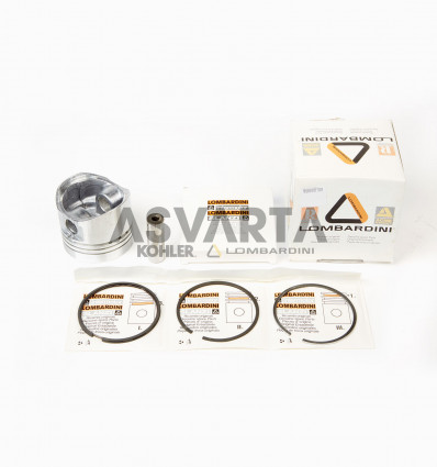 PISTON COMPLETO 6LD STD.