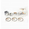 PISTON COMPLETO 6LD STD.