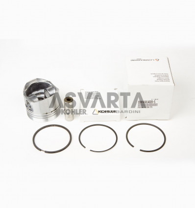 6LD 435 STD FULL PISTON.