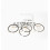 Serie Segmentos STD Lombardini LDA530 6LD 360