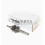Kohler XT crankshaft