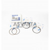KOHLER CH395 STD SEGMENT SET