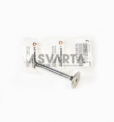 EXHAUST VALVE