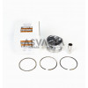 Piston STD Complete Lombardini LDW 502