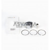 PISTON 0.50 COMPLETO