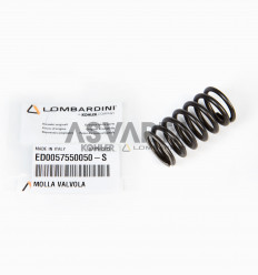 VALVE SPRING