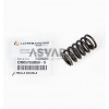 VALVE SPRING