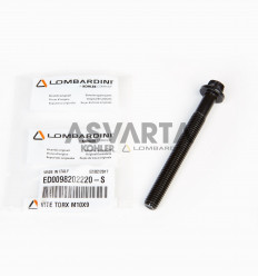 LDW Lombardini Screw