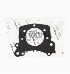 Gasket Lombardini LDW 502 Water Pump