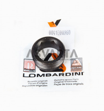 LDW Lombardini Nut