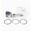 FULL PISTON STD. LOMBARDINI 15LD