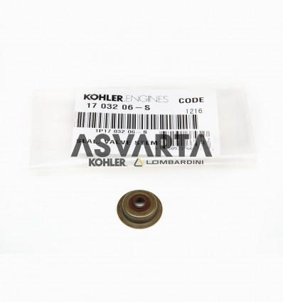 REPARATURSATZ KPL. FÜR KOHLER CH395 / CH440